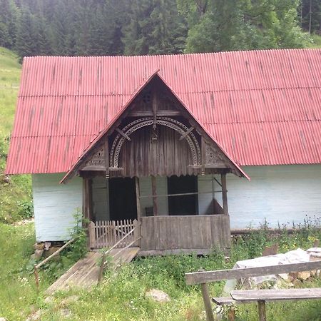 Moara Lui Ivan Hanasesti Zewnętrze zdjęcie